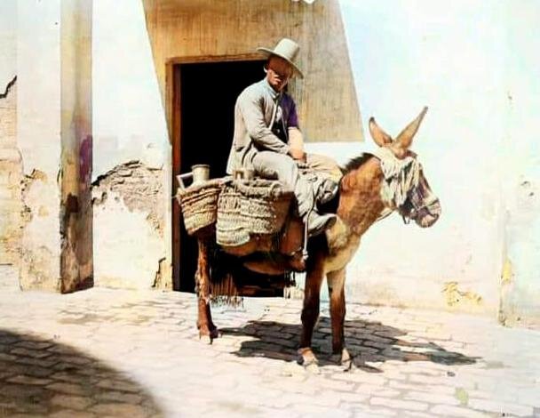 Para el cortijo